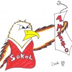 Pred počitni Pred počitnicami je Sokol ujel prvo mesto!cami je Sokol ujel prvo mesto!