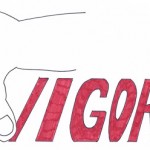 Vigor Conegliano jadranovcem prav ne leži!