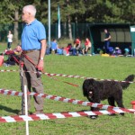 Padriòe, orienteering: pokal Alpe Jadran