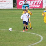 Nogomet, najmlajši - pokrajinsko prvenstvo: Zarja - Opicina