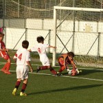 Nogomet, cicibani; Trieste Cacio B – Kras Repen 3:0
