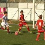 Nogomet, cicibani; Trieste Cacio B – Kras Repen 3:0