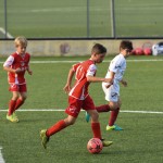 Nogomet, cicibani; Trieste Cacio B – Kras Repen 3:0