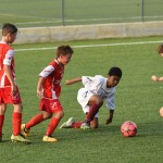 Nogomet, cicibani; Trieste Cacio B – Kras Repen 3:0