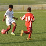 Nogomet, cicibani; Trieste Cacio B – Kras Repen 3:0