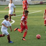 Nogomet, cicibani; Trieste Cacio B – Kras Repen 3:0