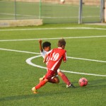 Nogomet, cicibani; Trieste Cacio B – Kras Repen 3:0