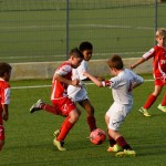 Nogomet, cicibani; Trieste Cacio B – Kras Repen 3:0