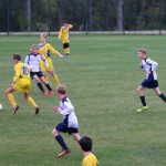 Nogomet, najmlajši - pokrajinsko prvenstvo: Zarja - Opicina