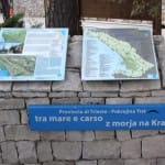 Barcolana: SK Brdina s svojo stojnico