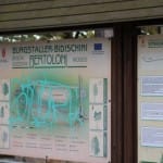 Barcolana: SK Brdina s svojo stojnico