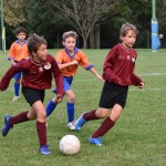 Nogomet, 12. trofeja Skala