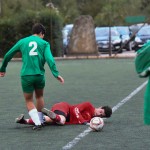 Nogomet, juniores: Domio - Kras