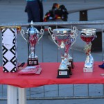Trst, atletika, hitra hoja; Memorial Crasso