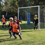 Nogomet, 12. trofeja Skala