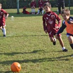 Nogomet, 12. trofeja Skala
