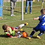 Nogomet, 12. trofeja Skala
