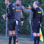 Nogomet, elitna liga: Vesna – Cjarlins Muzane