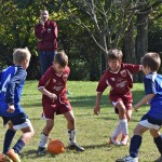 Nogomet, 12. trofeja Skala