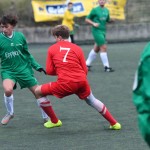 Nogomet, juniores: Domio - Kras