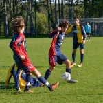 Nogomet, deželni naraščajniki: Kras Repen – Pro Cervignano