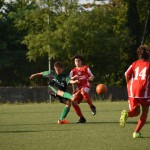Kras Repen - Montuzza