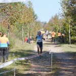 Slivja, Tek Dimnice 2016