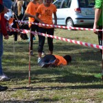 Slivja, Tek Dimnice 2016