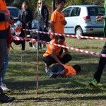 Slivja, Tek Dimnice 2016