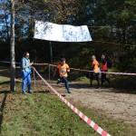 Slivja, Tek Dimnice 2016