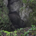 Slivja, Tek Dimnice 2016