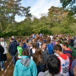 Sport - Orijentacijski tek - Orienteering - SPDT - ZSSDI - Orien