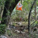 Sport - Orijentacijski tek - Orienteering - SPDT - ZSSDI - Orien