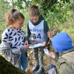 Sport - Orijentacijski tek - Orienteering - SPDT - ZSSDI - Orien