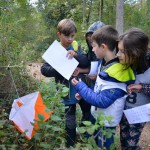 Sport - Orijentacijski tek - Orienteering - SPDT - ZSSDI - Orien