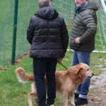 Bazovica, nogomet, 1. amaterska liga: Zarja - Cormonese