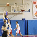 035_kosDliga_Sokol-Kontovel