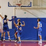 059_kosDliga_Sokol-Kontovel