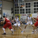 Kosarka, Opcine, C Gold, Jadran Ispem, Falconstar