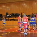 Košarka, Under 14: Dom Gorica - San Vito