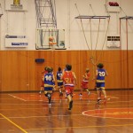 Košarka, Under 14: Dom Gorica - San Vito