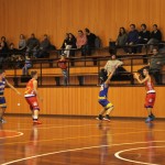 Košarka, Under 14: Dom Gorica - San Vito