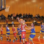Košarka, Under 14: Dom Gorica - San Vito