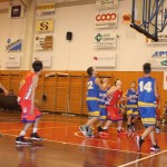 Košarka, Under 14: Dom Gorica - San Vito