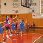 Gorica, košarka; under 14: Dom - Ardita