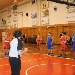 Gorica, košarka; under 14: Dom - Ardita