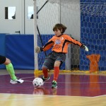 NogCicibaniTurnirPodDrevcemZaCicibaneNabrezina