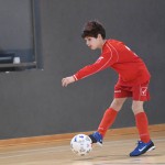 NogCicibaniTurnirPodDrevcemZaCicibaneNabrezina