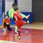 NogCicibaniTurnirPodDrevcemZaCicibaneNabrezina