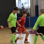 NogCicibaniTurnirPodDrevcemZaCicibaneNabrezina